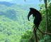 Guia de observação de animais na Amazônia: como planejar a experiência