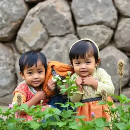 Parintins com crianças: roteiro leve e seguro