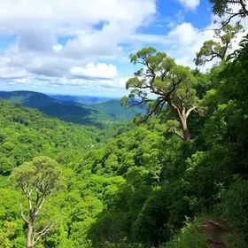 Passeios no Parque Nacional Montanhas do Tumucumaque: experiências que valem a pena