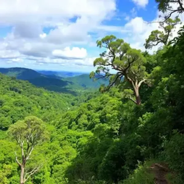 Passeios no Parque Nacional Montanhas do Tumucumaque: experiências que valem a pena