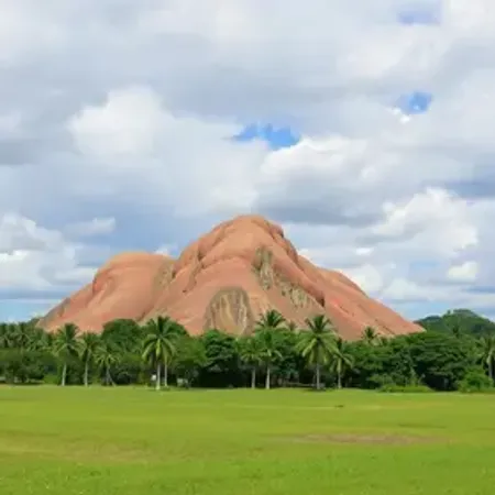 Gameleira de Rio Branco vale a pena? Veja quando incluir no roteiro
