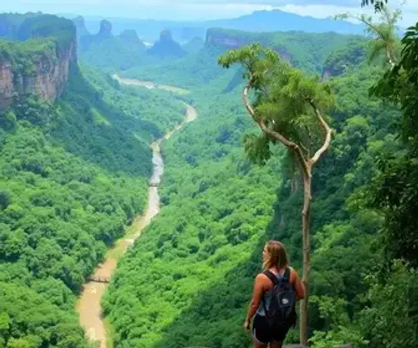 Parques nacionais da Amazônia para casal: ideias de experiências na Amazônia