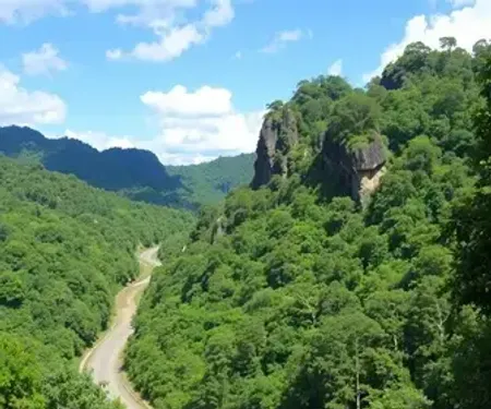 Parques nacionais da Amazônia para iniciantes: guia simples e prático