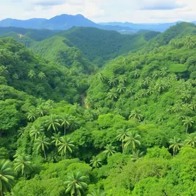 Dicas de segurança para turismo sustentável na Amazônia: cuidados essenciais