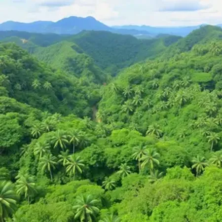Dicas de segurança para turismo sustentável na Amazônia: cuidados essenciais