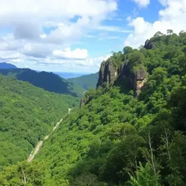 Quanto custa viajar no Parque Nacional Montanhas do Tumucumaque: orçamento e economia