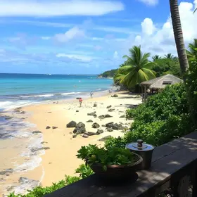 Onde comer na Ilha do Combu: sabores locais e boas regiões