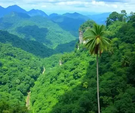 Parques nacionais da Amazônia online: como pesquisar antes da viagem