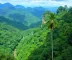 Parques nacionais da Amazônia online: como pesquisar antes da viagem