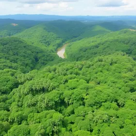 Quanto custa turismo sustentável na Amazônia: orçamento e planejamento