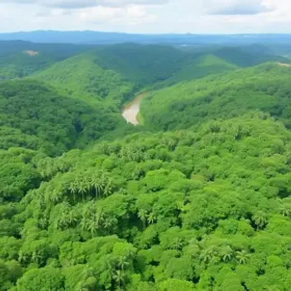 Quanto custa turismo sustentável na Amazônia: orçamento e planejamento
