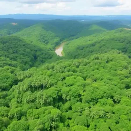 Quanto custa turismo sustentável na Amazônia: orçamento e planejamento