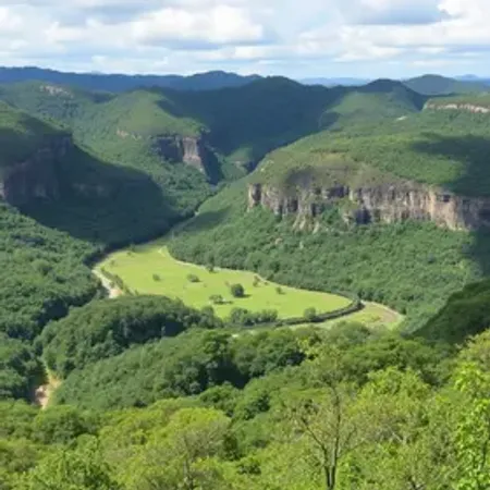 Passeios na Gameleira de Rio Branco: experiências que valem a pena