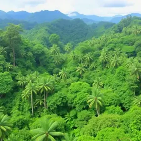 Perguntas frequentes sobre viagem para a Amazônia para iniciantes: dúvidas respondidas