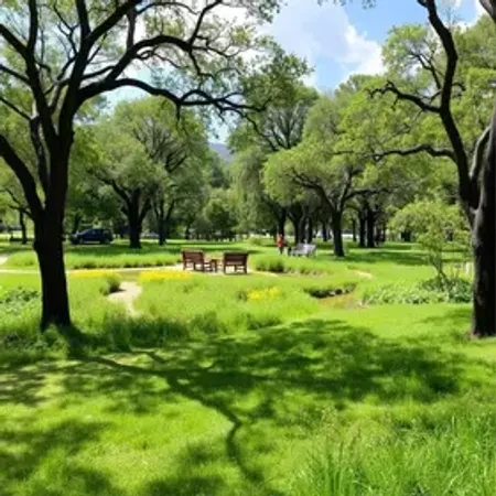 Perguntas frequentes sobre Parque Ambiental Chico Mendes: respostas úteis