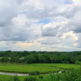 Passeios em Macapá: experiências que valem a pena