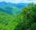 Guia de parques nacionais da Amazônia: como planejar a experiência