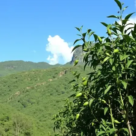 Melhor época para visitar Jalapão: clima e eventos