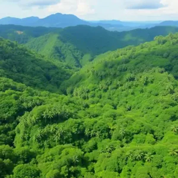 O que é turismo sustentável na Amazônia: significado e importância turística