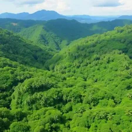 O que é turismo sustentável na Amazônia: significado e importância turística