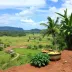 Onde comer em Guajará-Mirim: sabores locais e boas regiões