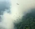 Crise da fumaça no Amazonas gera embate entre governos e mobiliza aviões da Força Aérea