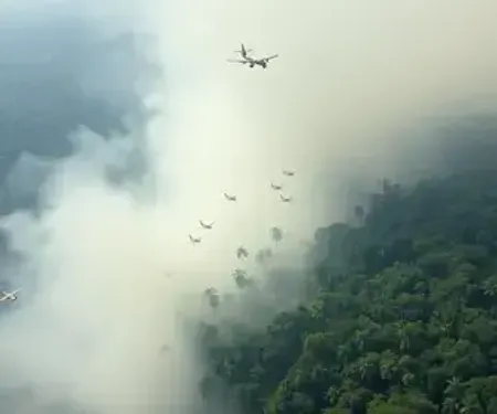 Crise da fumaça no Amazonas gera embate entre governos e mobiliza aviões da Força Aérea