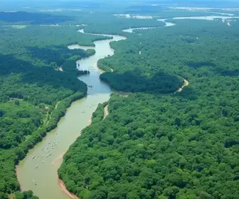 Amazonas mantém histórico de cravar presidentes eleitos desde 1989