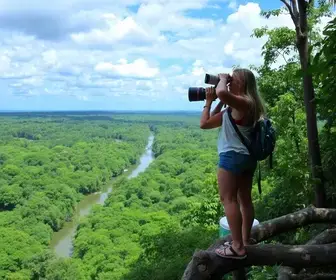 Observação de animais na Amazônia para iniciantes: guia simples e prático