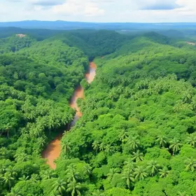 Melhor época para viagem para a Amazônia para iniciantes: clima, rios e temporada