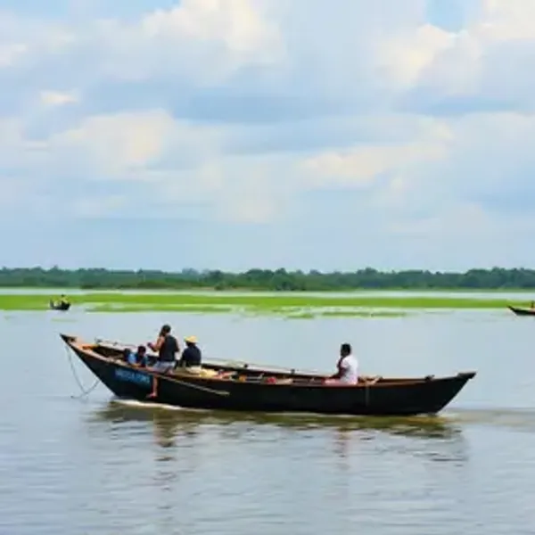 O que é passeio de barco na Amazônia: significado e importância turística