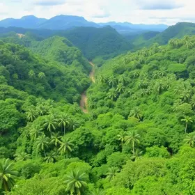 Guia de viagem para a Amazônia para iniciantes: como planejar a experiência