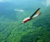 Amazonas recebe aeronaves para combater queimadas