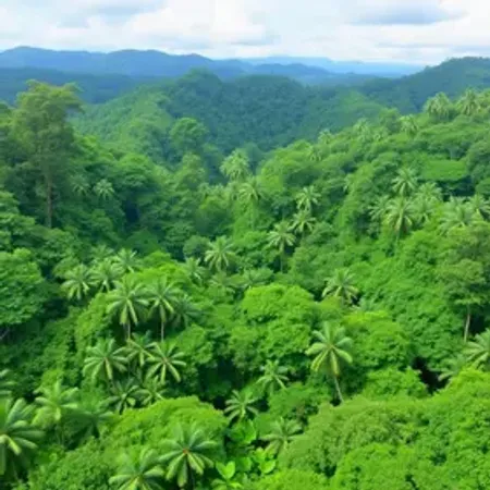 Viagem para a Amazônia para iniciantes vale a pena? Benefícios, cuidados e experiências