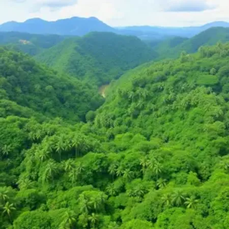 Pacotes de turismo sustentável na Amazônia: o que avaliar antes de contratar