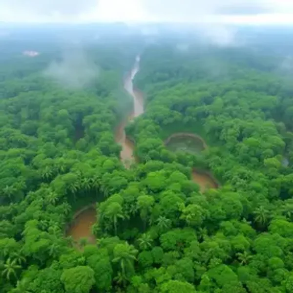 Amazonas deve ter menos chuva e temperaturas acima da média em julho, aponta Inmet