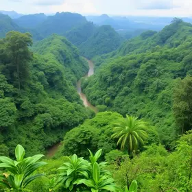 Experiência de selva na Amazônia para casal: ideias de experiências na Amazônia