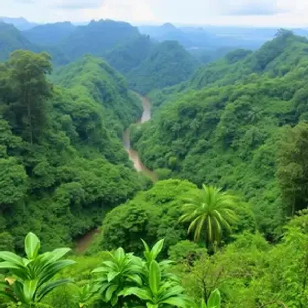 Experiência de selva na Amazônia para casal: ideias de experiências na Amazônia