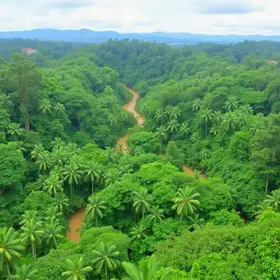 Diferença entre viagem para a Amazônia para iniciantes na cheia e na seca