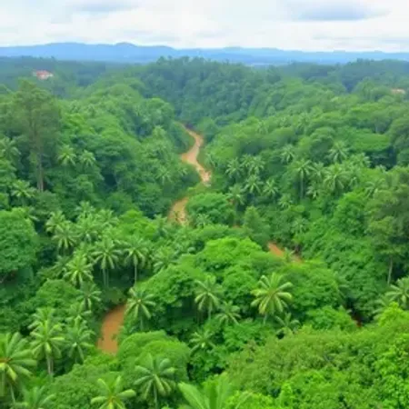 Diferença entre viagem para a Amazônia para iniciantes na cheia e na seca
