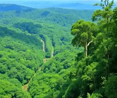 Parques nacionais da Amazônia com crianças: cuidados e experiências leves