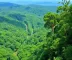Parques nacionais da Amazônia com crianças: cuidados e experiências leves