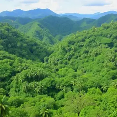 Turismo sustentável na Amazônia perto de mim: como encontrar opções próximas