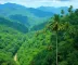 O que é parques nacionais da Amazônia: significado e importância turística