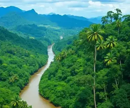 Melhor época para parques nacionais da Amazônia: clima, rios e temporada