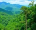 Parques nacionais da Amazônia vale a pena? Benefícios, cuidados e experiências