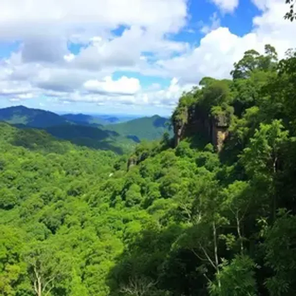Onde comer no Parque Nacional Montanhas do Tumucumaque: sabores locais e boas regiões