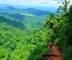 Guia de trilhas na Amazônia: como planejar a experiência