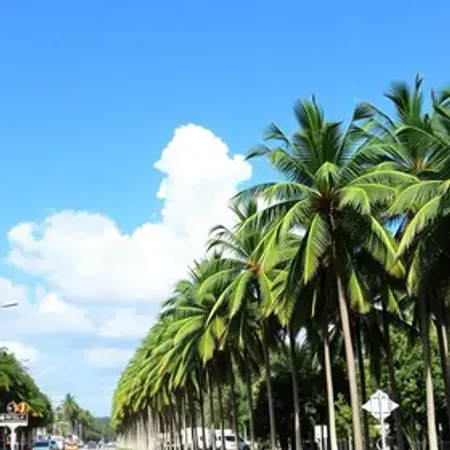 Roteiro de 3 dias em Palmas: o que visitar
