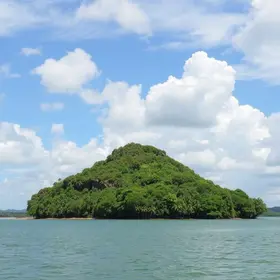 Ilha do Marajó: guia completo para planejar sua viagem